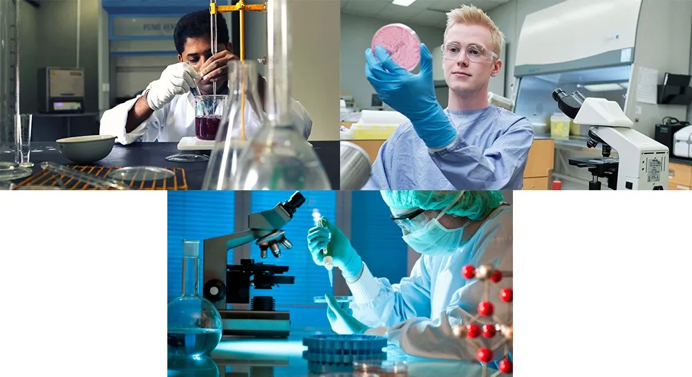 application application